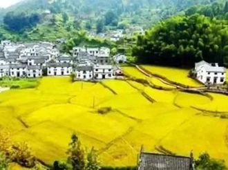 大力發展鄉村旅游 加快鄉村振興步伐
