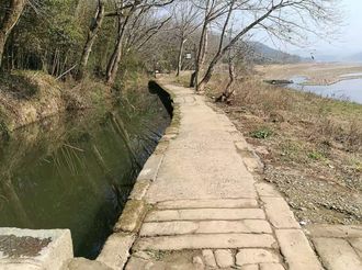 【新春走基層】煙村：打造“詩意盎然”的畫里鄉村