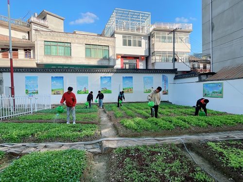 歙縣璜田中心學校開展勞動教育實踐活動