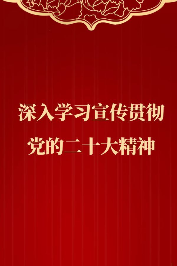 深入學習宣傳貫徹黨的二十大精神