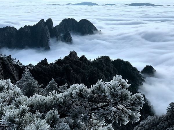 雪后黃山分外妖嬈