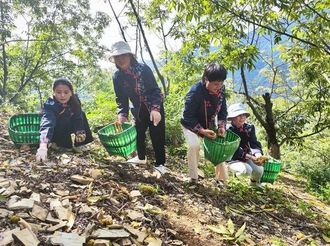 核桃產業富鄉民
