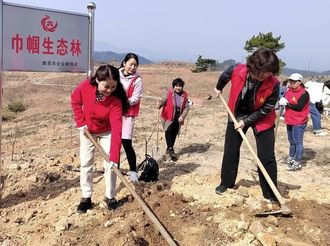 歙縣：巾幗行動忙植樹