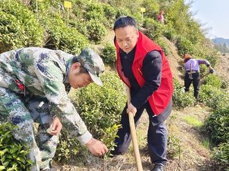 森村鄉(xiāng)：義務(wù)植樹為春天添彩