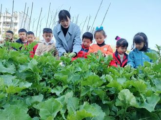 碧陽幼兒園：做好“大先生” 和孩子共成長