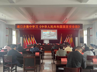 渚口鄉：開展全民國家安全教育日宣傳活動