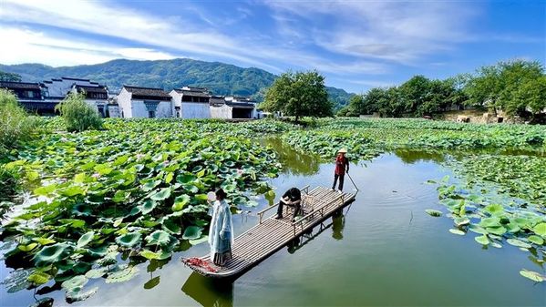 夏享清涼 黃山有約