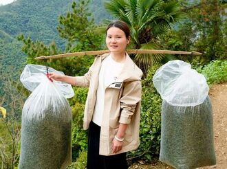 曹晶：讓農產品走進千家萬戶的“徽州姑娘”