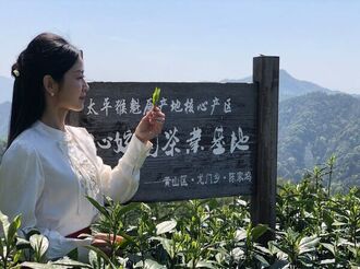 徐翠萍：在茶藝之路上不斷探索