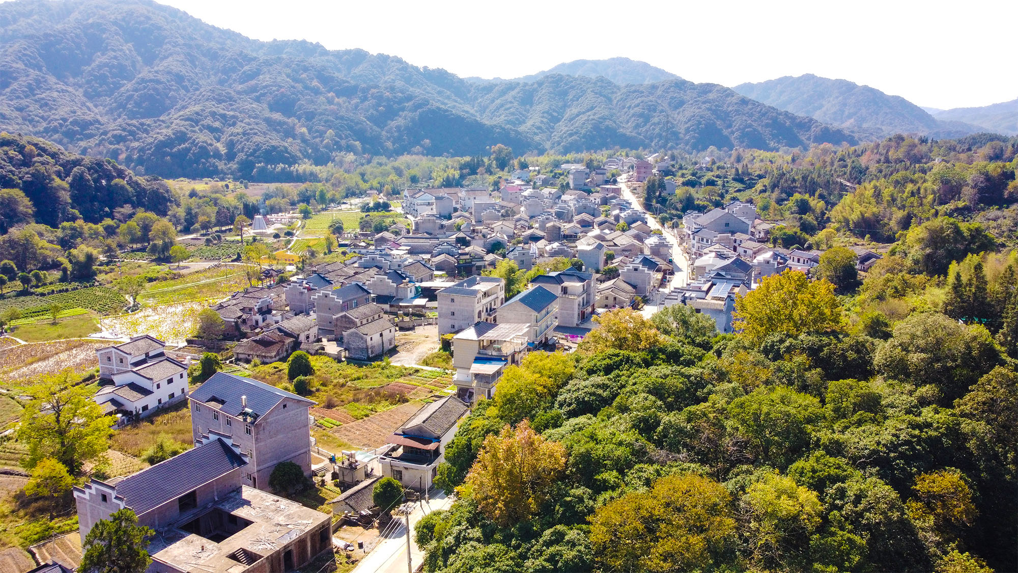 鄉村秋色如畫