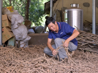 吳衛東：中藥材種植助力示范農場