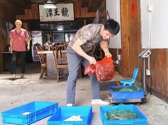 王國勇：讓石蛙變成致富“金蟾”