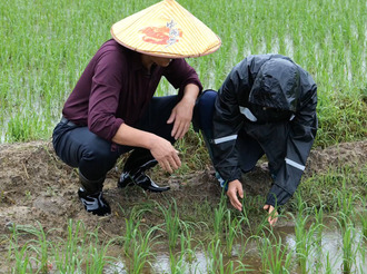 休寧縣：農技人員深入田間地頭 