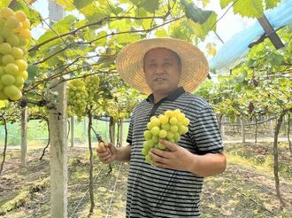 王春雨：葡萄園的“甜蜜”事業