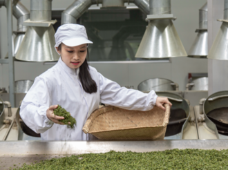 王海燕：用匠心和創新振興松蘿茶