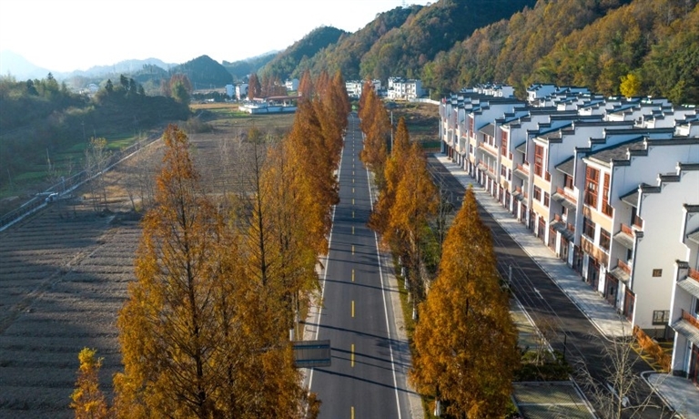 漁亭鎮(zhèn)：一個可以停一下的地方
