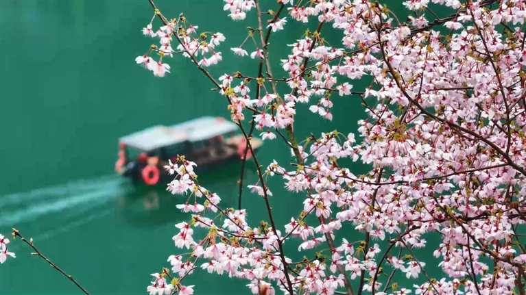 春日尋芳