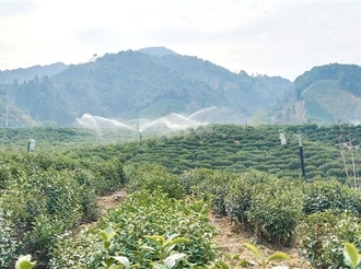 “智慧大腦”賦能黃山農(nóng)業(yè)