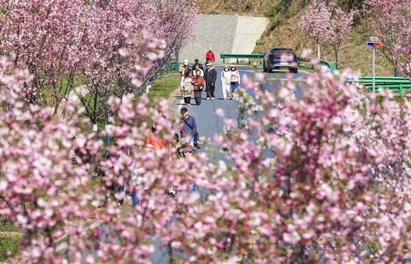 路暢景美好風(fēng)光