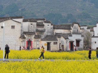 關(guān)麓古村花滿蹊