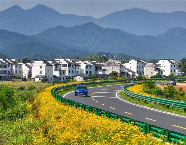 芳菲漫路鄉(xiāng)村美