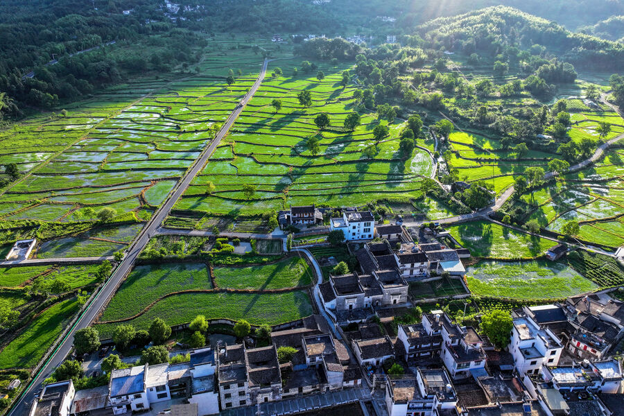 和美鄉村風景美
