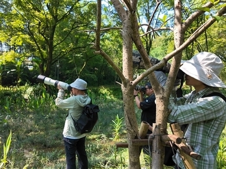 傍霞村：珍稀鳥類“銜”來生態流量