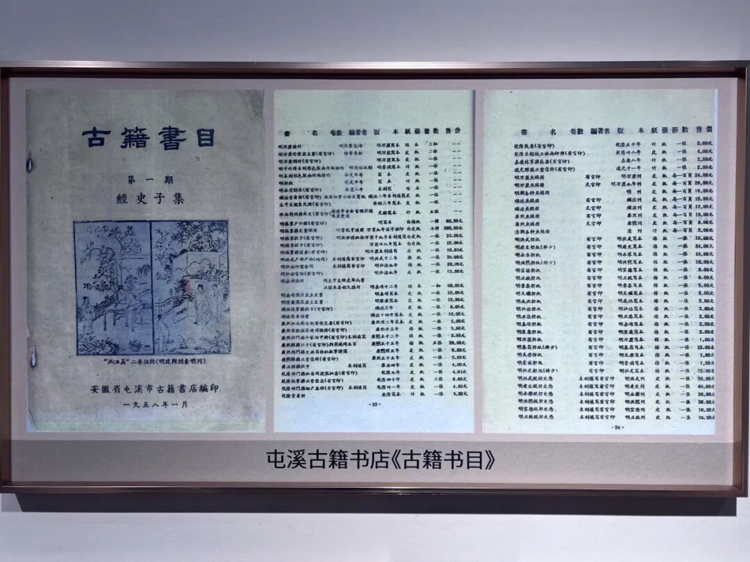  初識文書