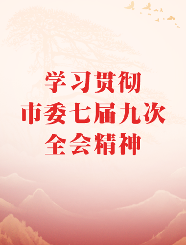 學習貫徹市委七屆九次全會精神