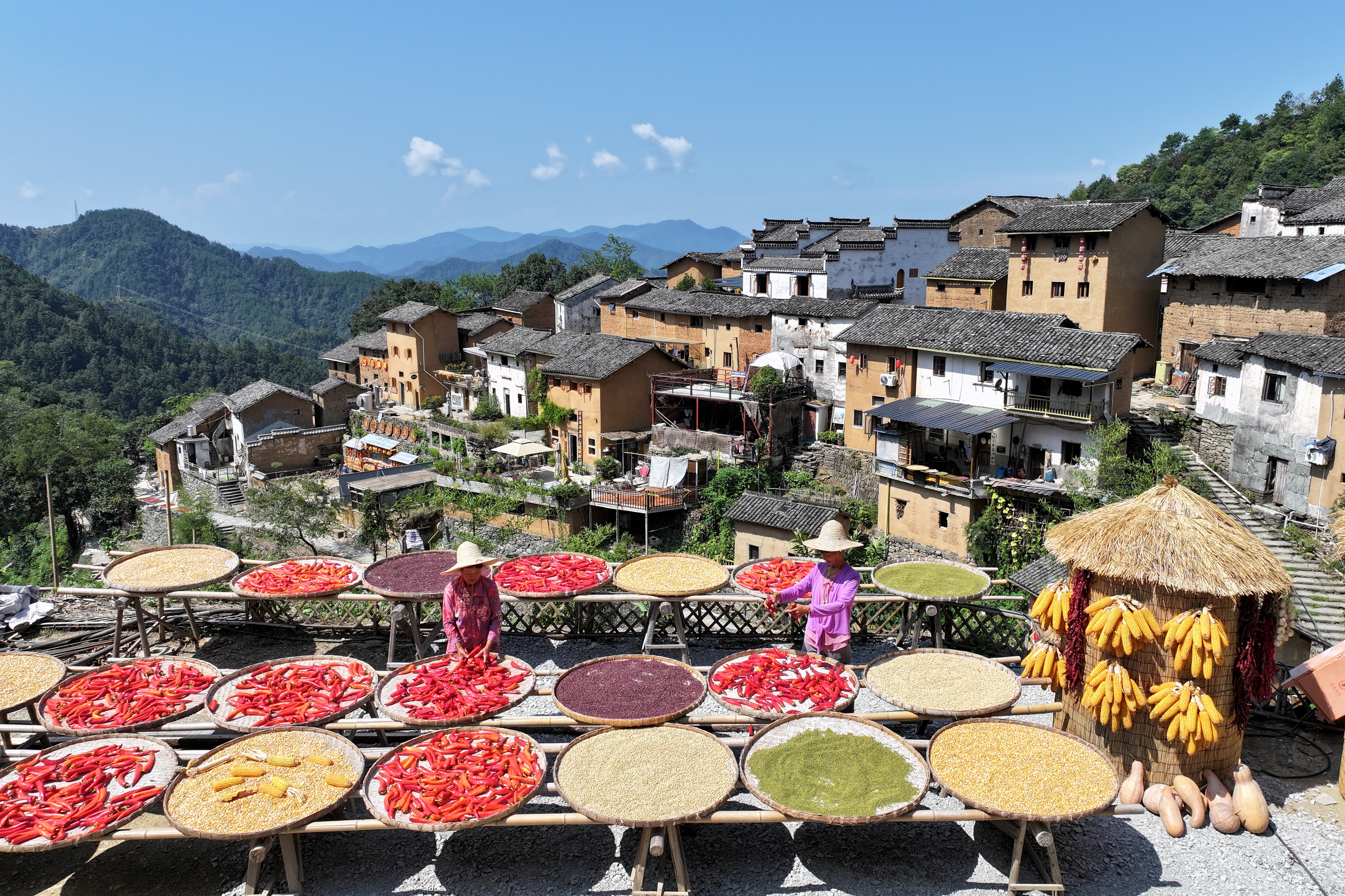 陽(yáng)產(chǎn)：秋日調(diào)色盤上的豐收詩(shī)畫