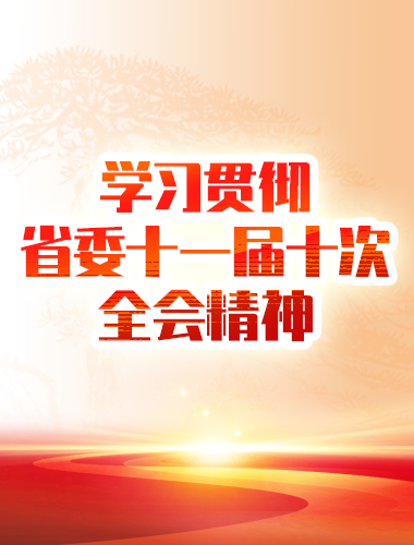 學習貫徹 省委十一屆十次全會情神